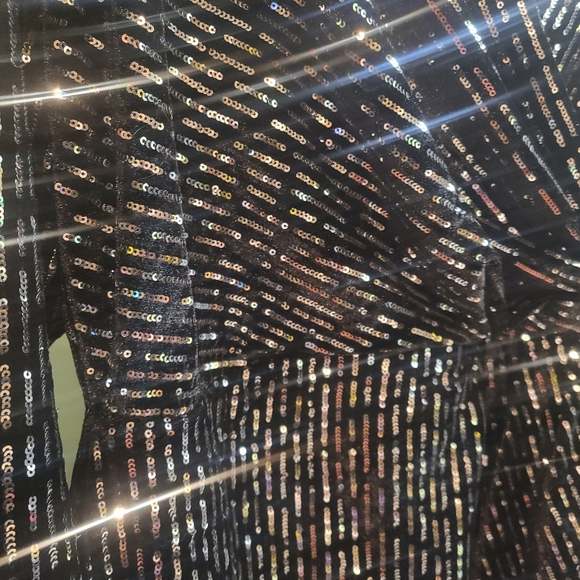 Lane Bryant Velvet & Sequin Dress - Size 14 - New - Picture 3 of 8